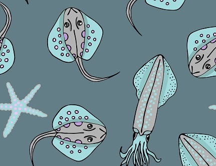 La nature, au début Objets de la mer